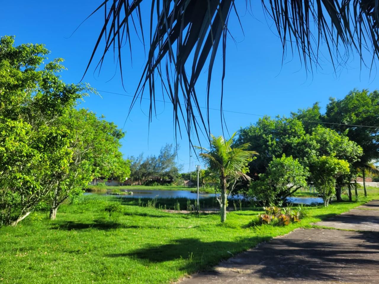 WhatsApp Image 2026-01-16 at 16.31.37